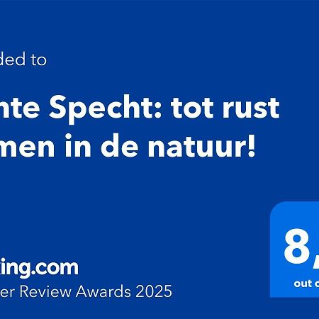 Bonte Specht: Tot Rust Komen In De Natuur! Otterlo Exterior foto